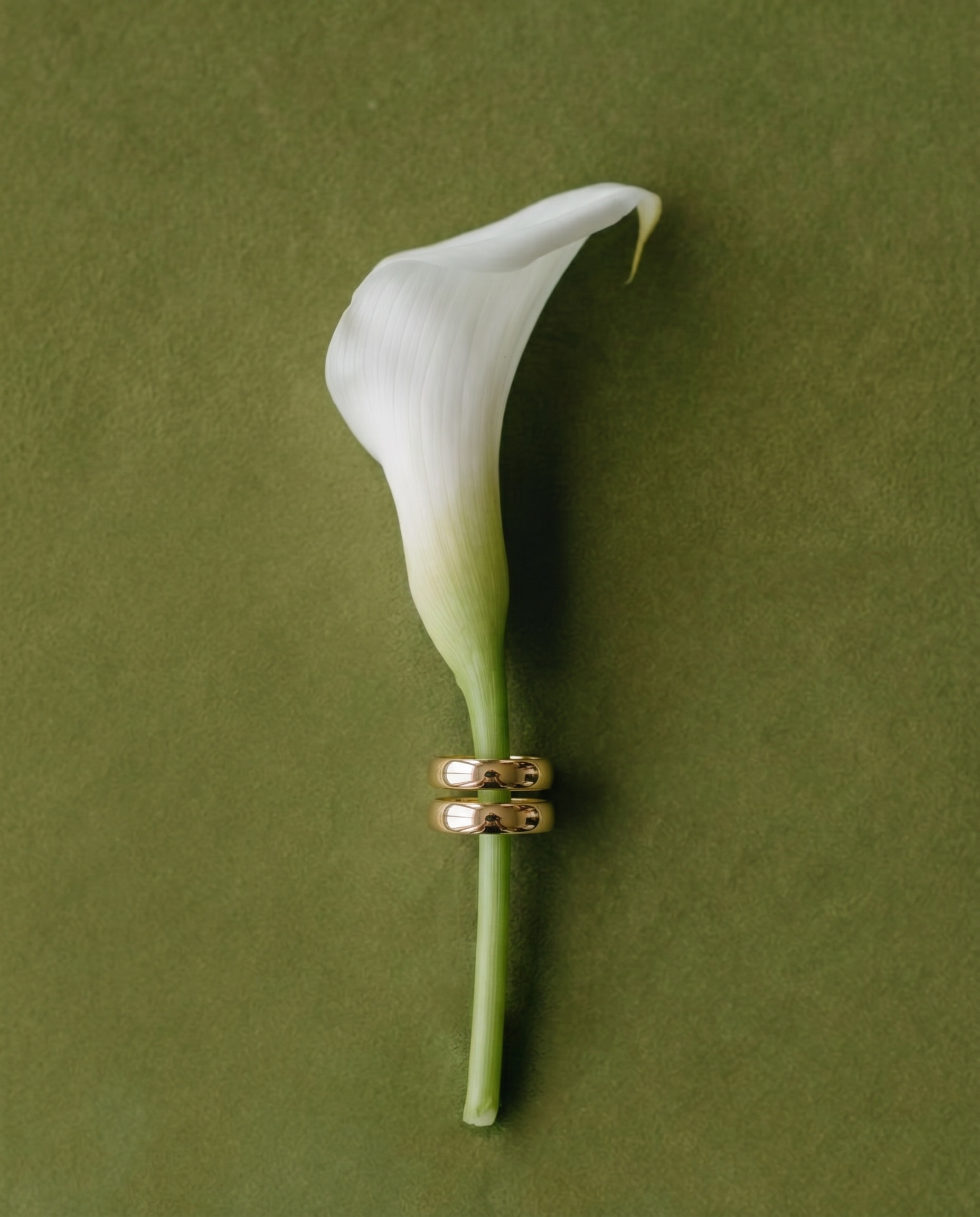 Ringshot