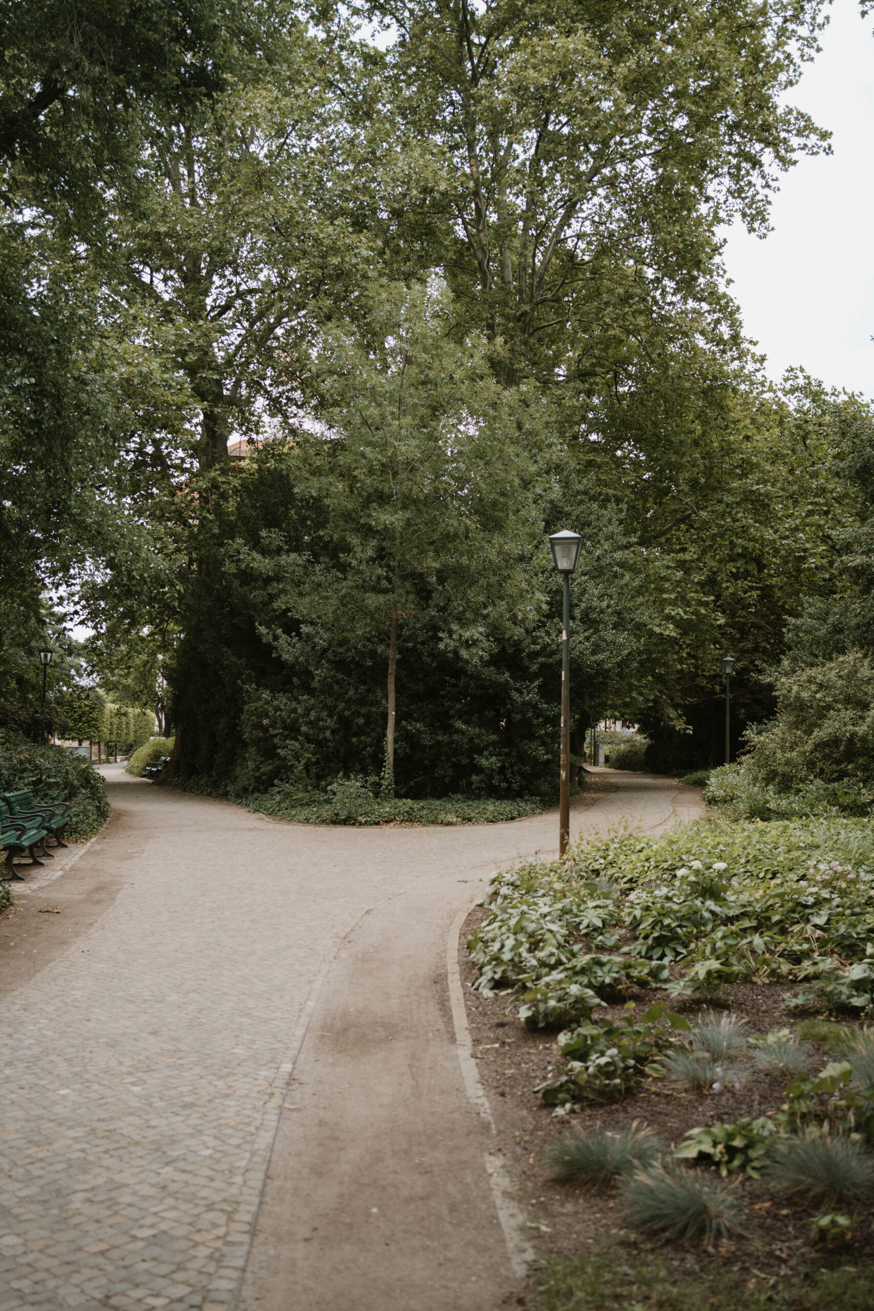 DSC06886